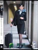 憧れのスチュワーデスと性交 神ユキ
