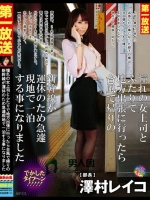 憧れの女上司とふたりで地方出張に行ったら台風で帰りの新幹線が運休のため急遽現地で一泊する事になりました 澤村レイコ