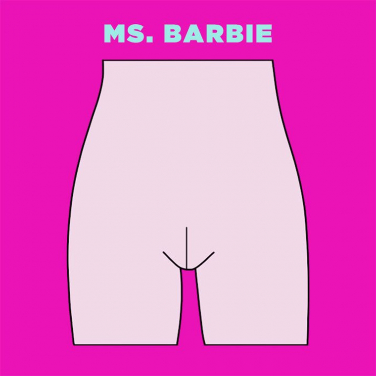 Ms-Barbie-vagina-illustration.jpg